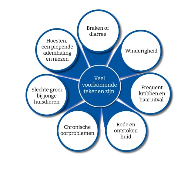 Veel voorkomende tekenen van voedselallergieën en voedselintolerantie