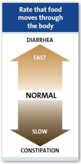 Snelheid waarmee voedsel door het lichaam beweegt