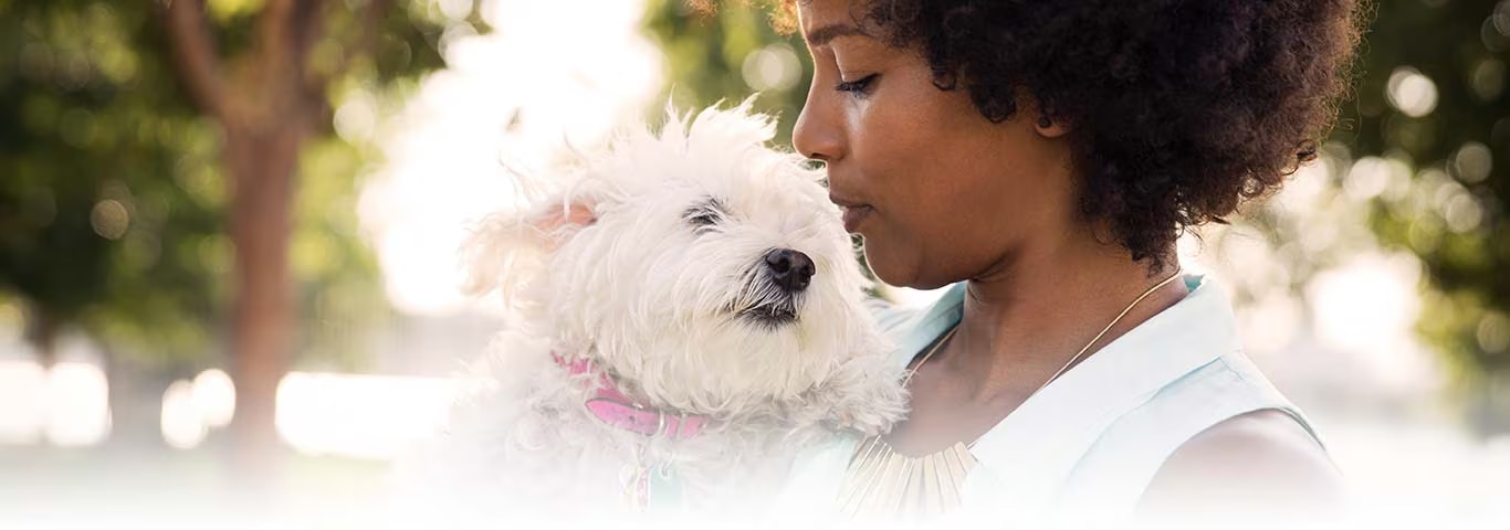 Foto van een West Highland White Terrier-hond