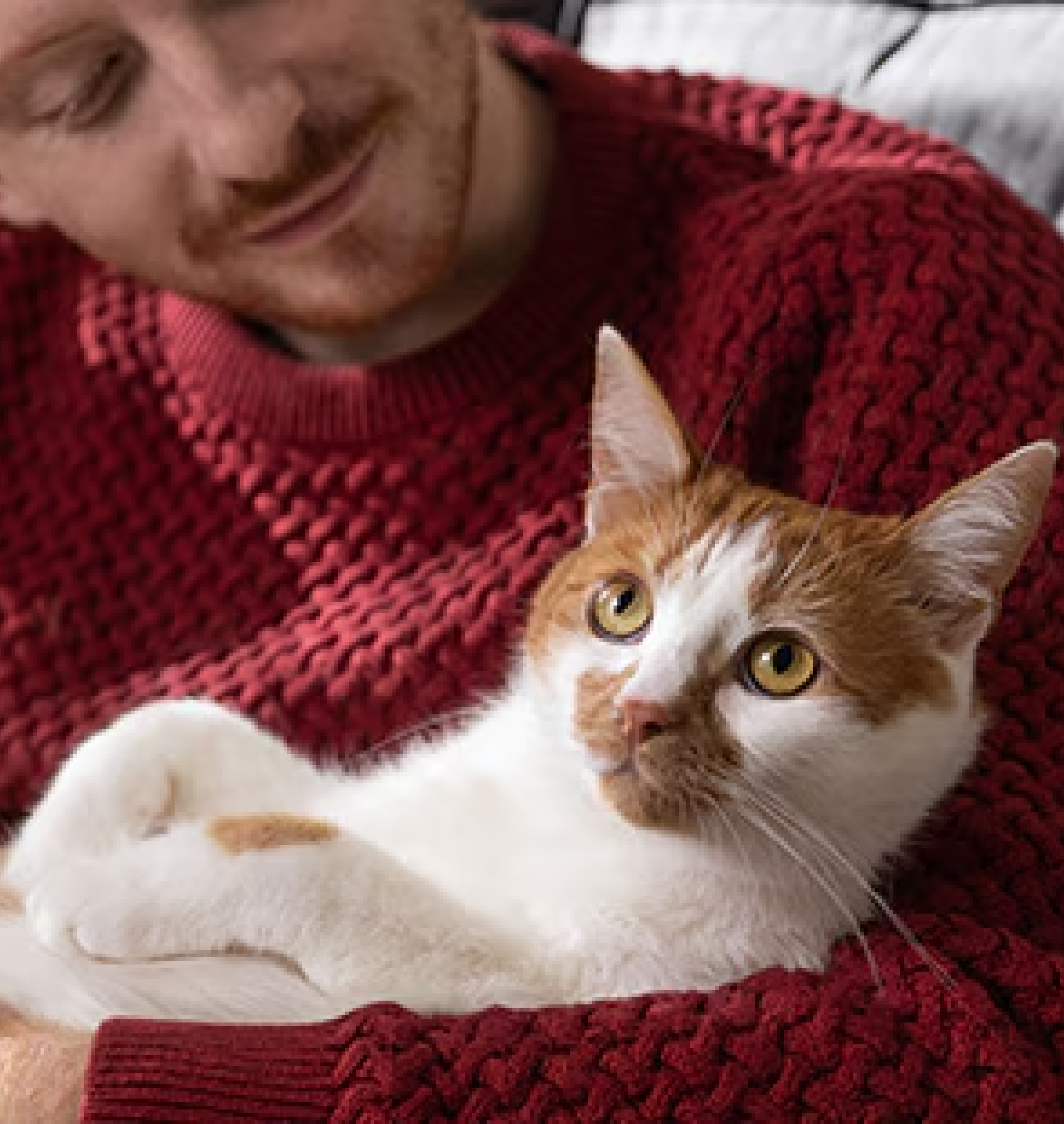 A man with a cat in his arms
