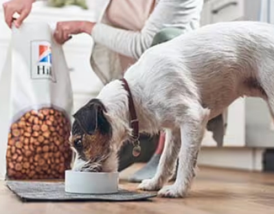 hond eet Hill's hondenvoer