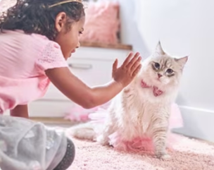 een jong meisje speelt met een kitten