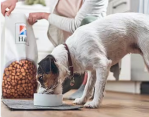 hond eet Hill's hondenvoer