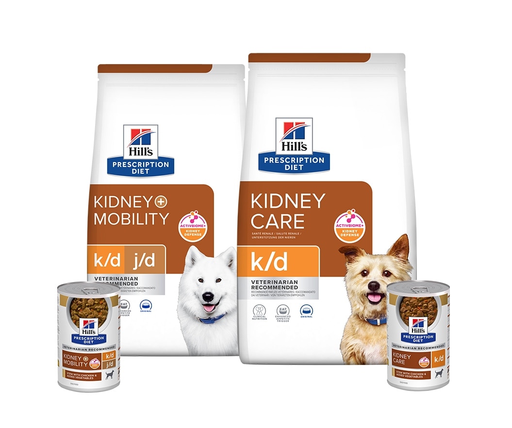 Prescription Diet Kidney care hondenvoer assortiment