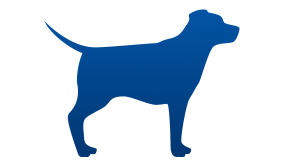 hond met ideaal gewicht