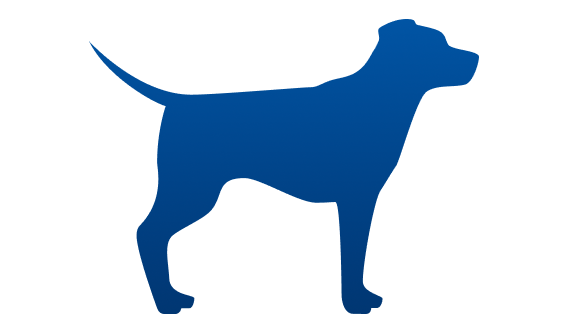 hond met ondergewicht