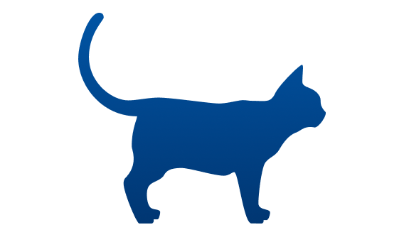 kat met ideaal gewicht