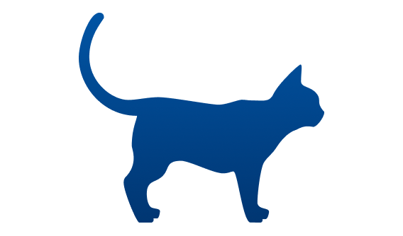 kat met ondergewicht