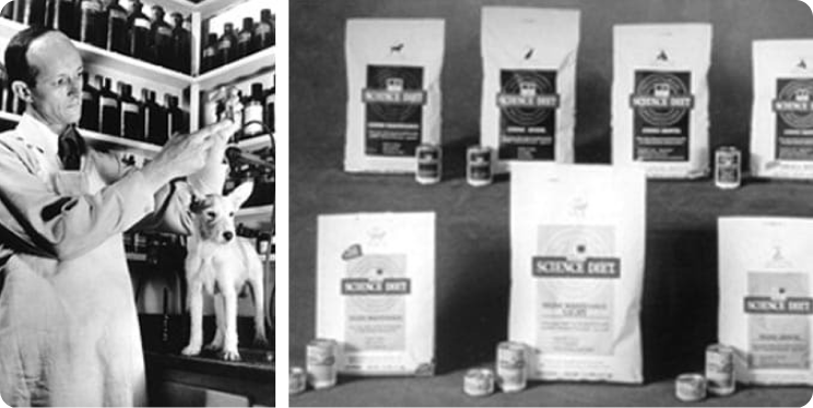 Dr. Mark Morris Jr. aan het werk met een huisdier