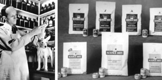 Dr. Mark Morris Jr. aan het werk met een huisdier