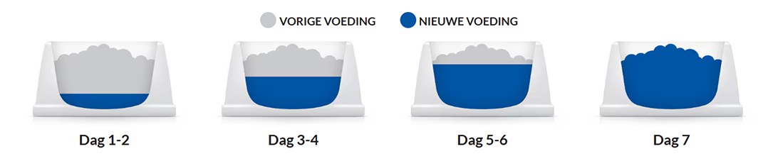 Overstappen op Hill’s