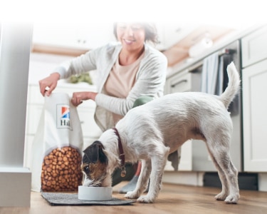 hond eet Hill's voer