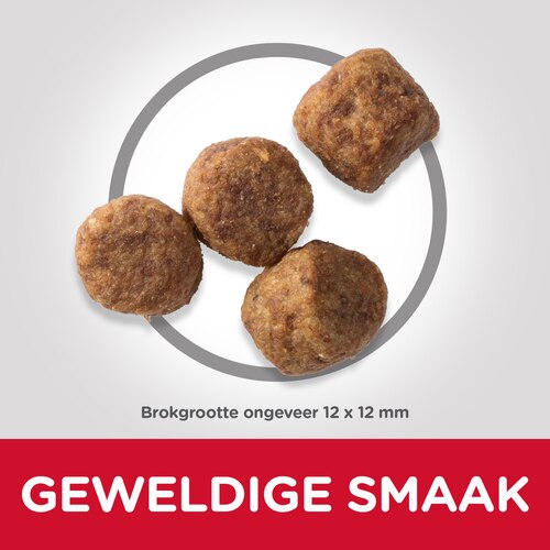 sp-canine-science-plan-mature-adult-7-plus-active-longevity-medium-with-chicken-dry